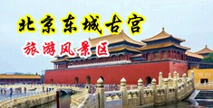 额额肏她逼肏视频中国北京-东城古宫旅游风景区